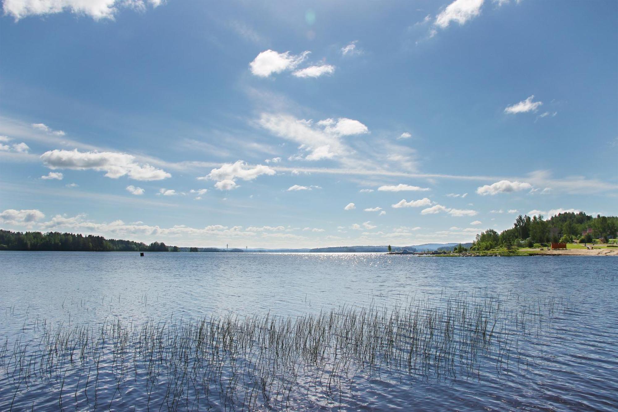 Summer Hotel Taehtelae, Alkio-Opisto Korpilahti Exteriör bild