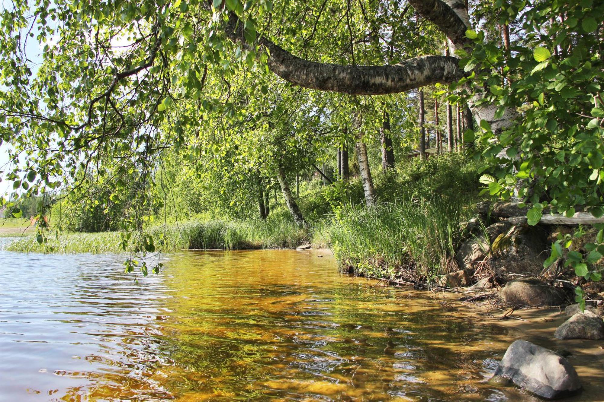 Summer Hotel Taehtelae, Alkio-Opisto Korpilahti Exteriör bild